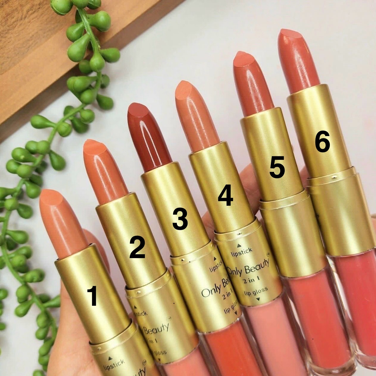2 in 1 Nude Lipstick | Matte 18 hrs Stay