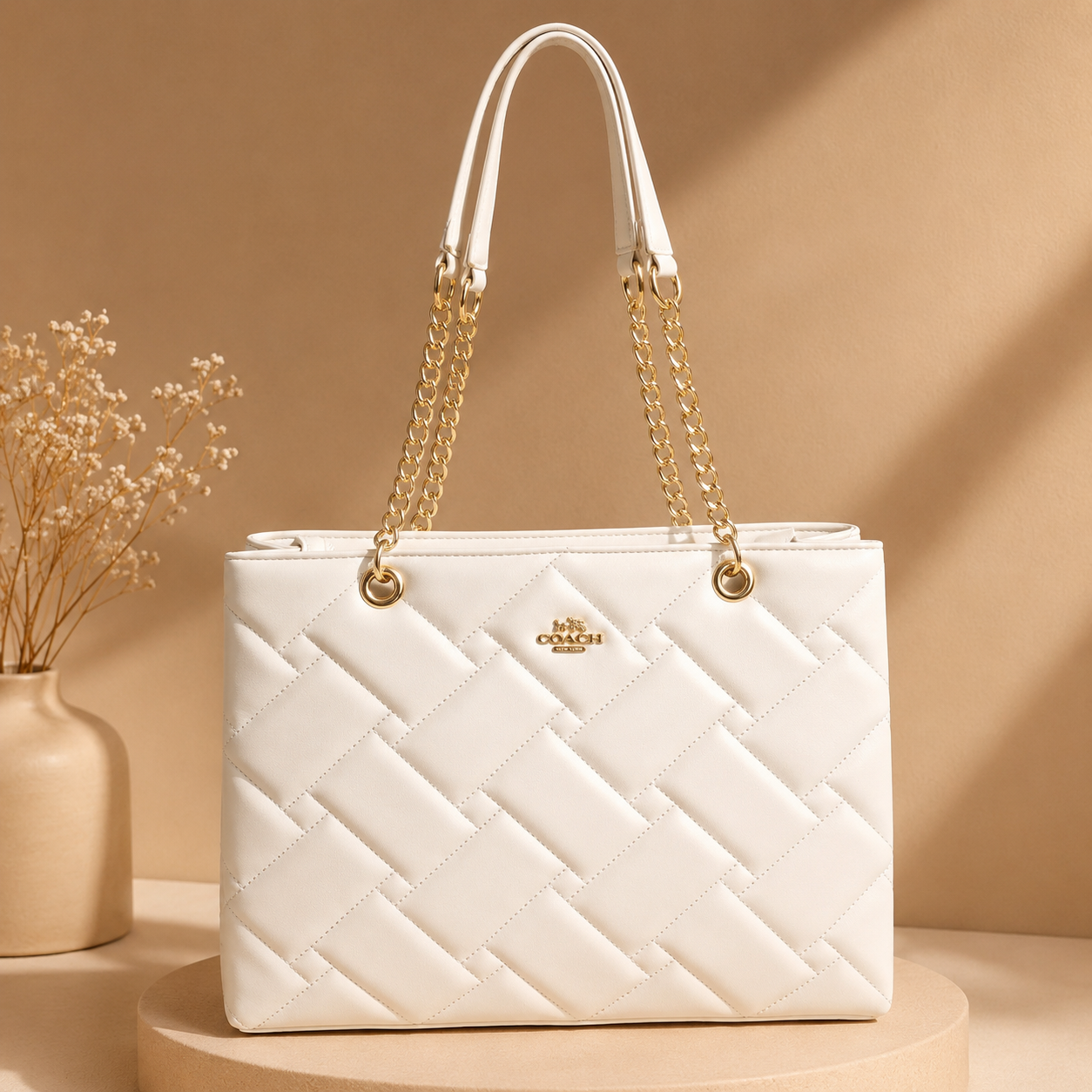 Coach Cloud Moonlight Chain Tote Bag